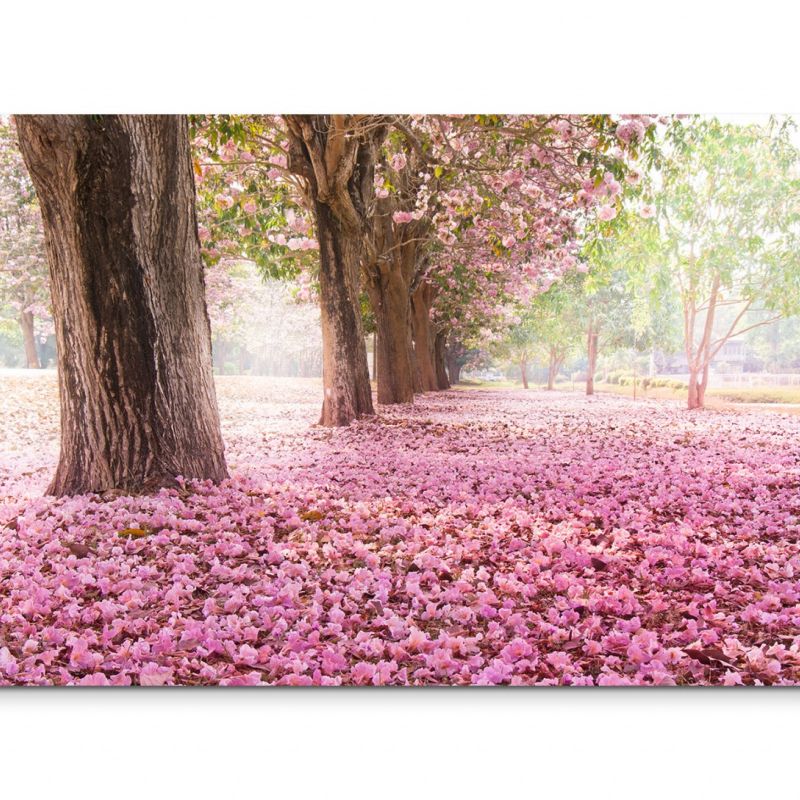 120x80cm Wandbild Bäume Blüten Weg Sonnenlicht