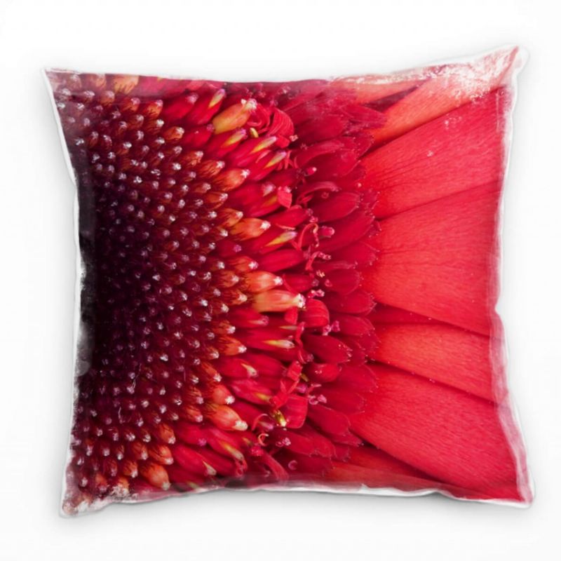 Blumen, Macro, rot, rotes Gänseblümchen Deko Kissen 40x40cm für Couch Sofa Lounge Zierkissen