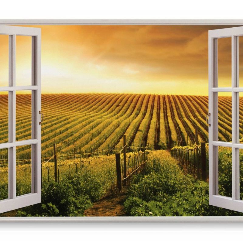 Wandbild 120x80cm Fensterbild Italien Toskana Weinanbau Landschaft Horizont