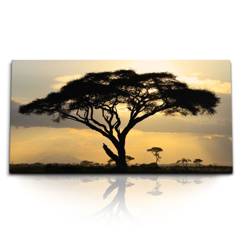 Kunstdruck Bilder 120x60cm Afrikanische Landschaft Burkea  Baum Sonnenuntergang