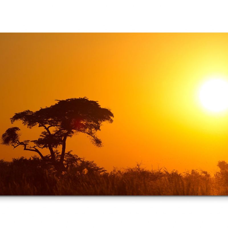 120x80cm Wandbild Afrika Landschaft Sonnenaufgang