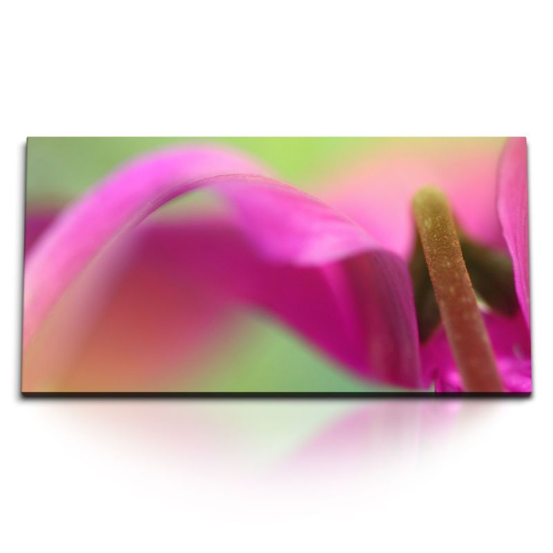 Kunstdruck Bilder 120x60cm Makrofotografie Blume Exotisch Rosa Grün