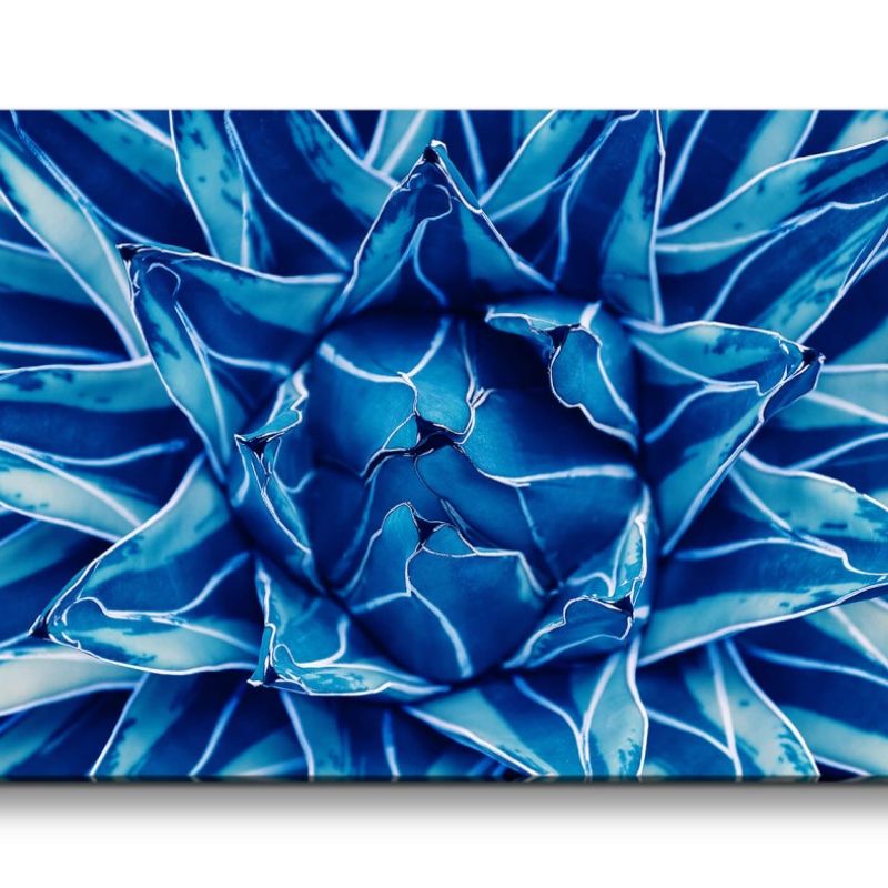 Leinwandbild 120x60cm Blaue Pflanze Fotokunst Dekorativ Kunstvoll Nahaufnahme