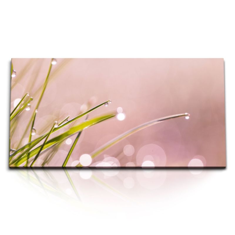 Kunstdruck Bilder 120x60cm Morgentau Gras Wassertropfen Natur Halme Grün