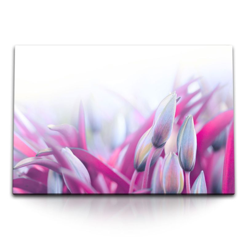 120x80cm Wandbild auf Leinwand Tulpen Blumen Rosa Natur Blüten Kunstvoll