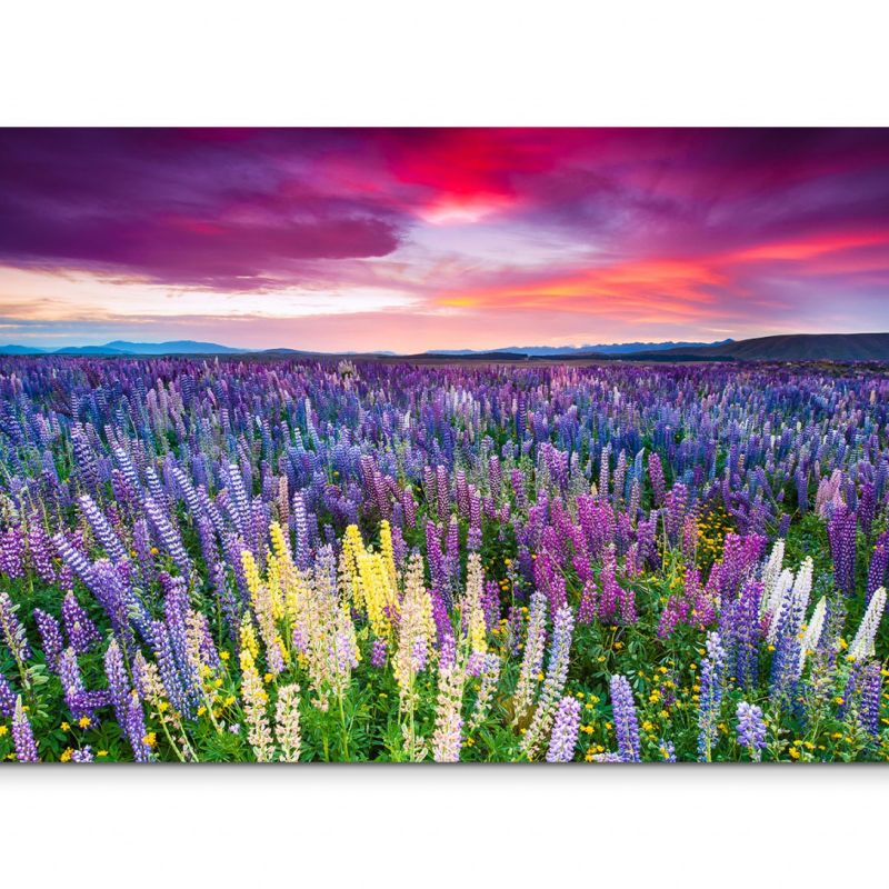 120x80cm Wandbild Blumenwiese Sonnenuntergang Wolkenschleier