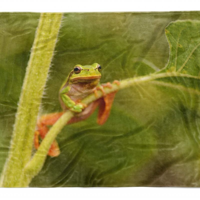 Handtuch Strandhandtuch Saunatuch Kuscheldecke  mit Tiermotiv Frosch Grün