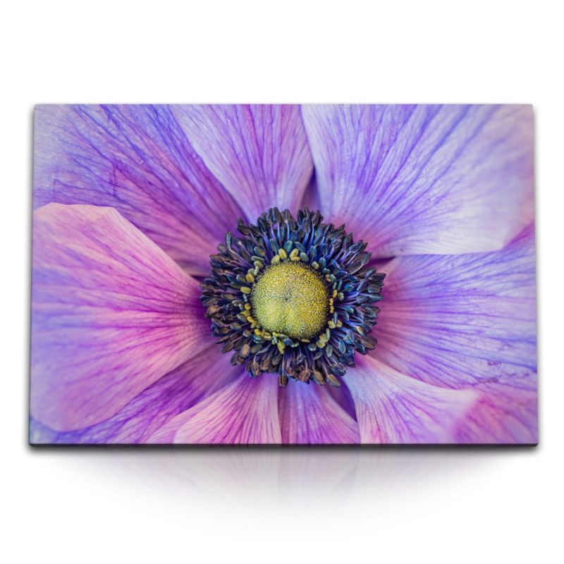 120x80cm Wandbild auf Leinwand Makrofotografie Blume Blüte Violett Kunstvoll