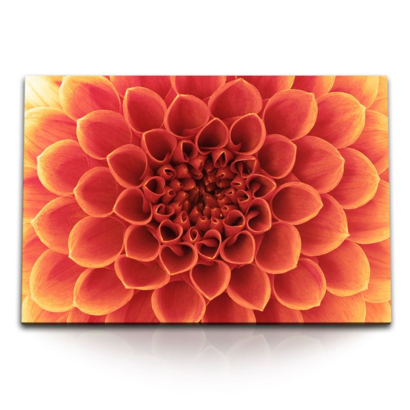 120x80cm Wandbild auf Leinwand Dahlie Blume Blüte Nahaufnahme Rot