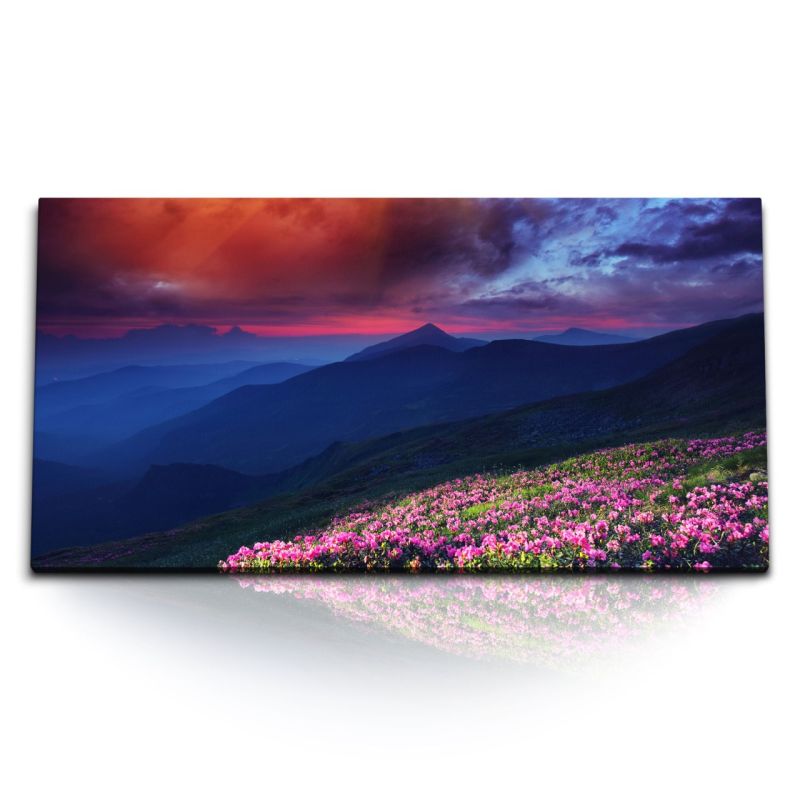 Kunstdruck Bilder 120x60cm Berge Berglandschaft dunkler Himmel Blumenwiese