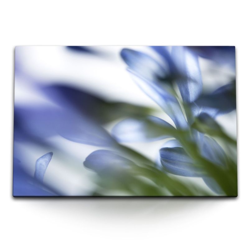 120x80cm Wandbild auf Leinwand Blumen Blüten Blau Hellblau Nahaufnahme