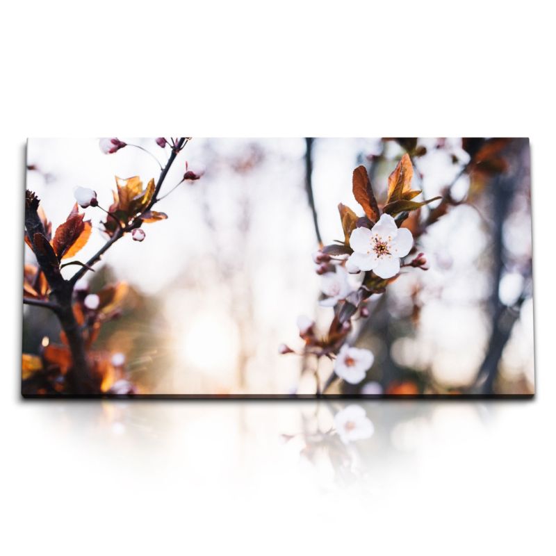 Kunstdruck Bilder 120x60cm Baumblüten Blüten Frühling Baum Sonnenschein