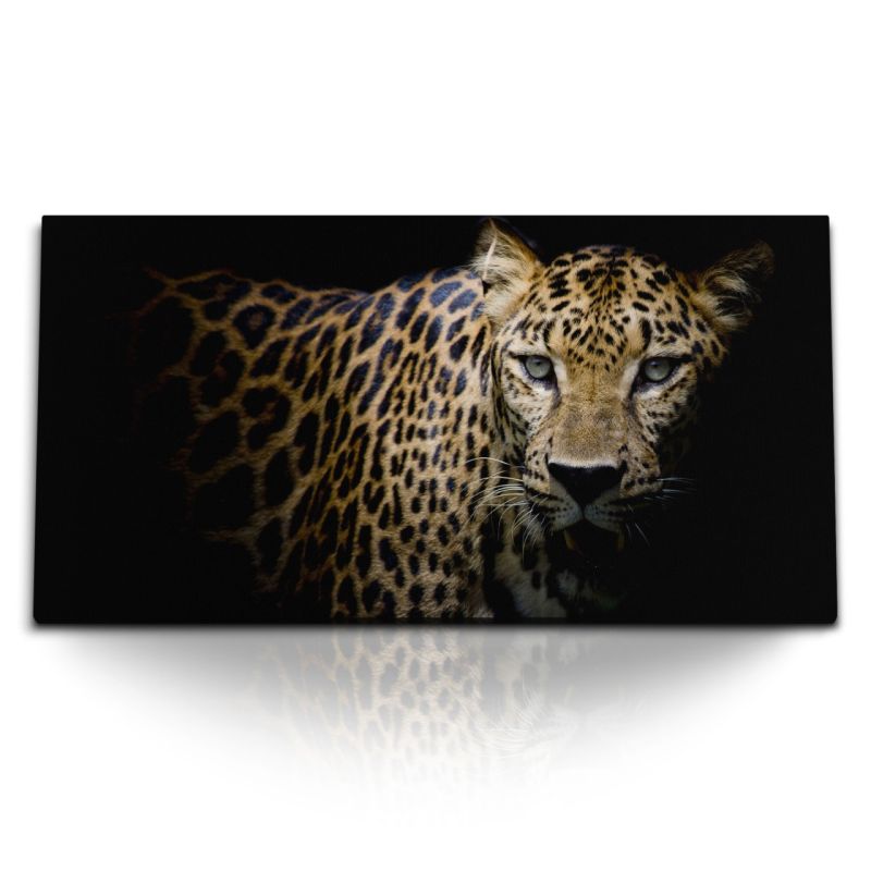 Kunstdruck Bilder 120x60cm Leopard Raubkatze Tierfotografie schwarzer Hintergrund