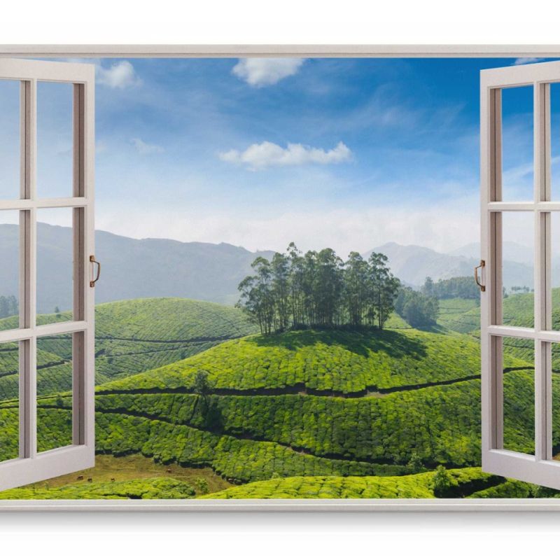 Wandbild 120x80cm Fensterbild Teeplantage Indien Grün Landschaft Teeanbau