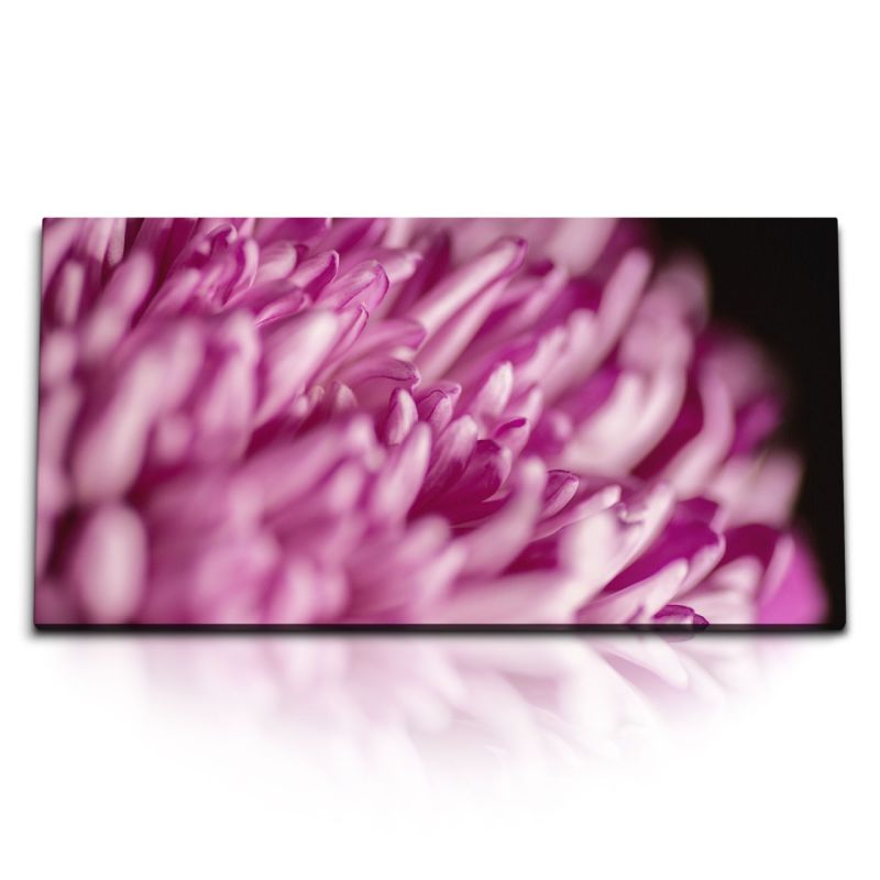 Kunstdruck Bilder 120x60cm Blume Blüte Nahaufnahme Rosa Dekorativ