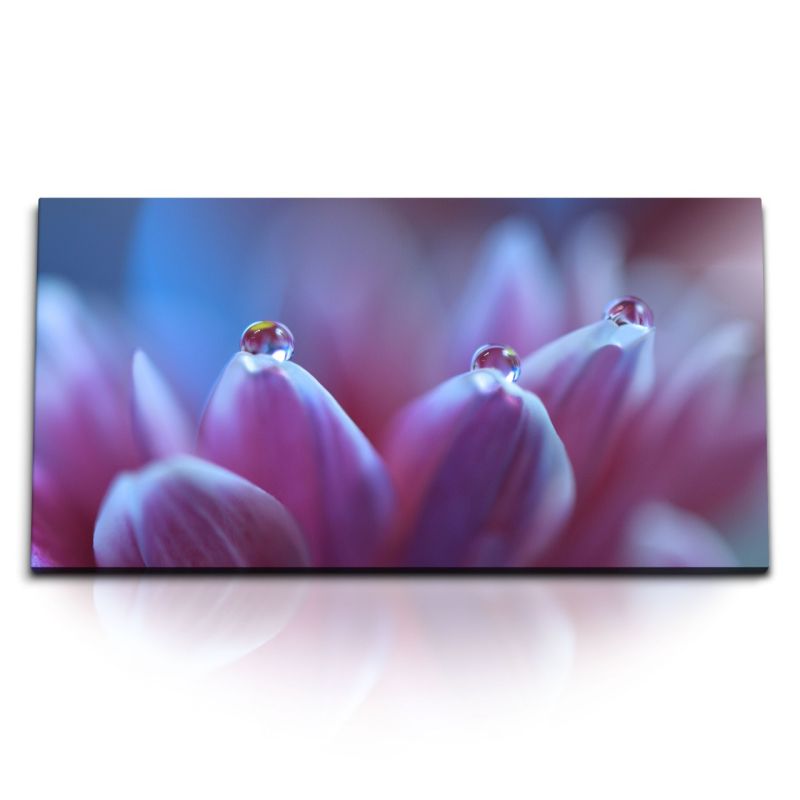 Kunstdruck Bilder 120x60cm Makrofotografie Blume Blüte Wassertropfen Violett