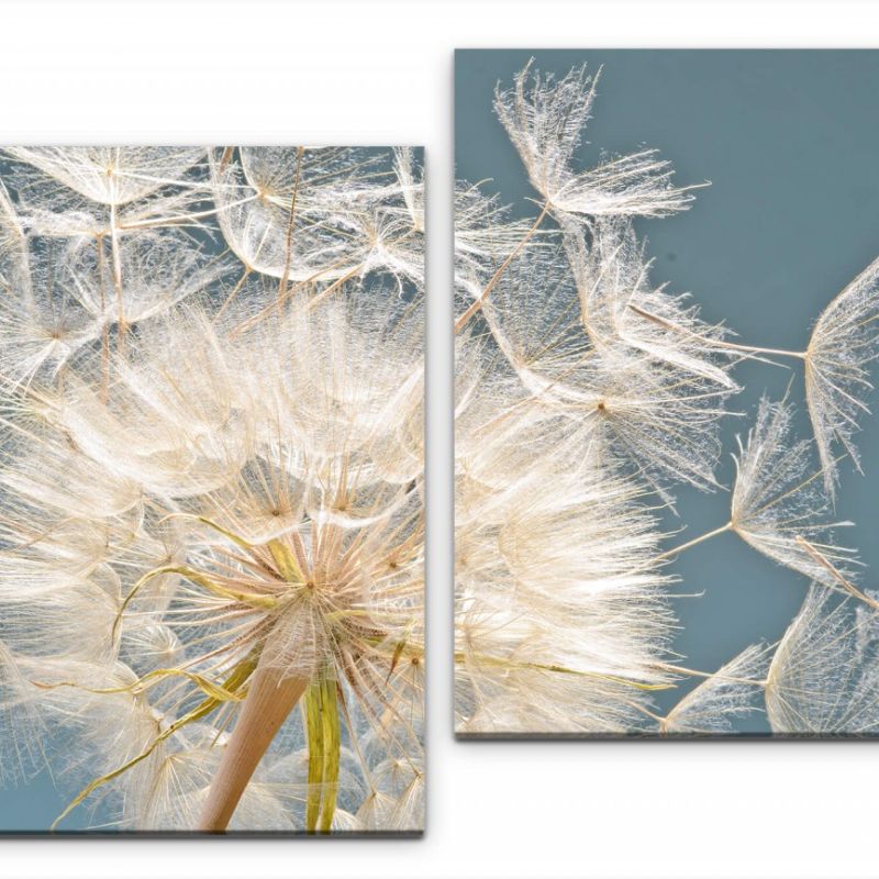 Pusteblume Nahaufnahme Wandbild in verschiedenen Größen