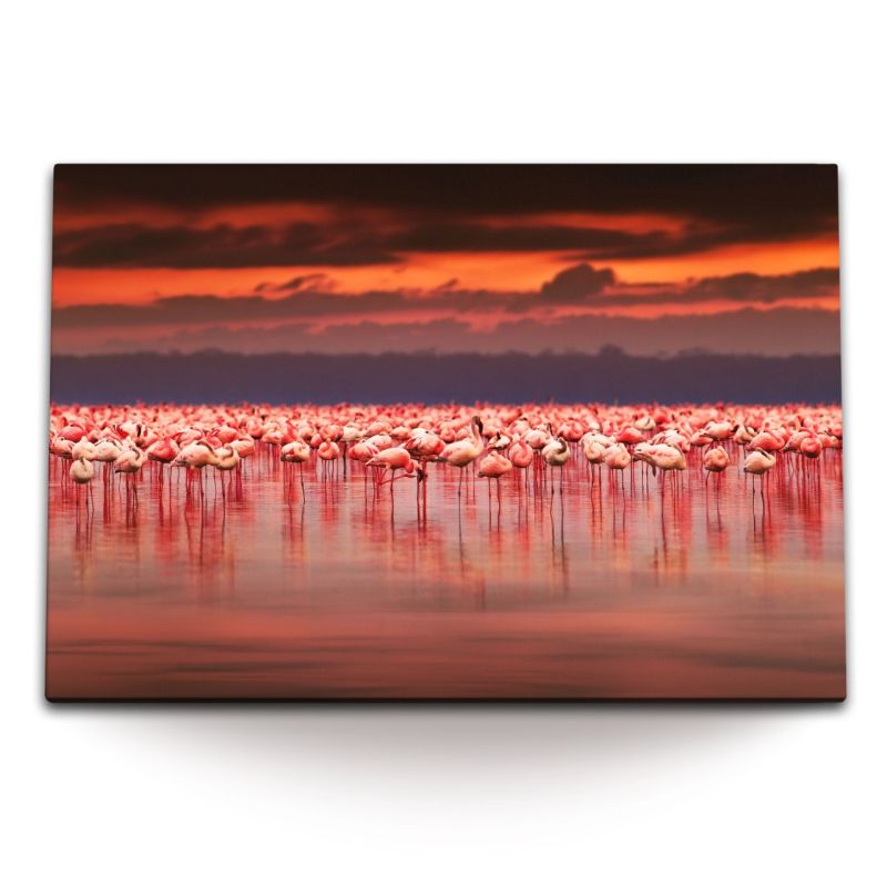 120x80cm Wandbild auf Leinwand Flamingos Rosa Meer roter Himmel Tierfotografie