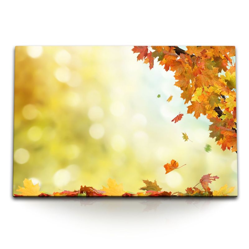 120x80cm Wandbild auf Leinwand Herbstblätter Herbst Sonnenschein Natur Park