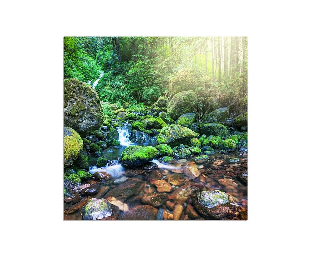 80x80cm Wald Fluss Bach Steine Natur