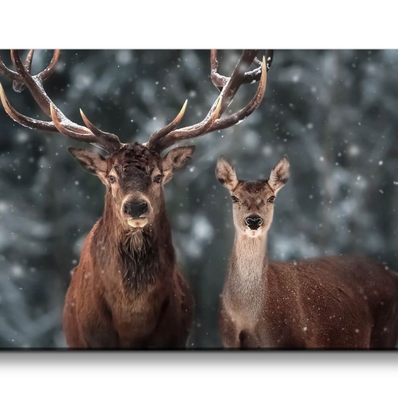 Leinwandbild 120x60cm Hirsch Hirschgeweih Wald Schnee schöne Tiere Natur