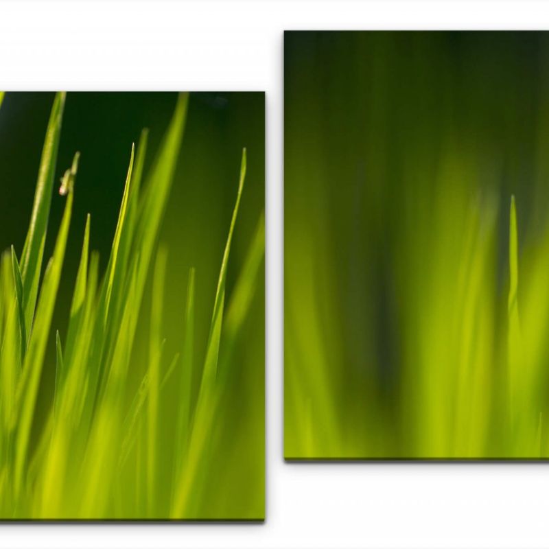 grünes Grass Wandbild in verschiedenen Größen