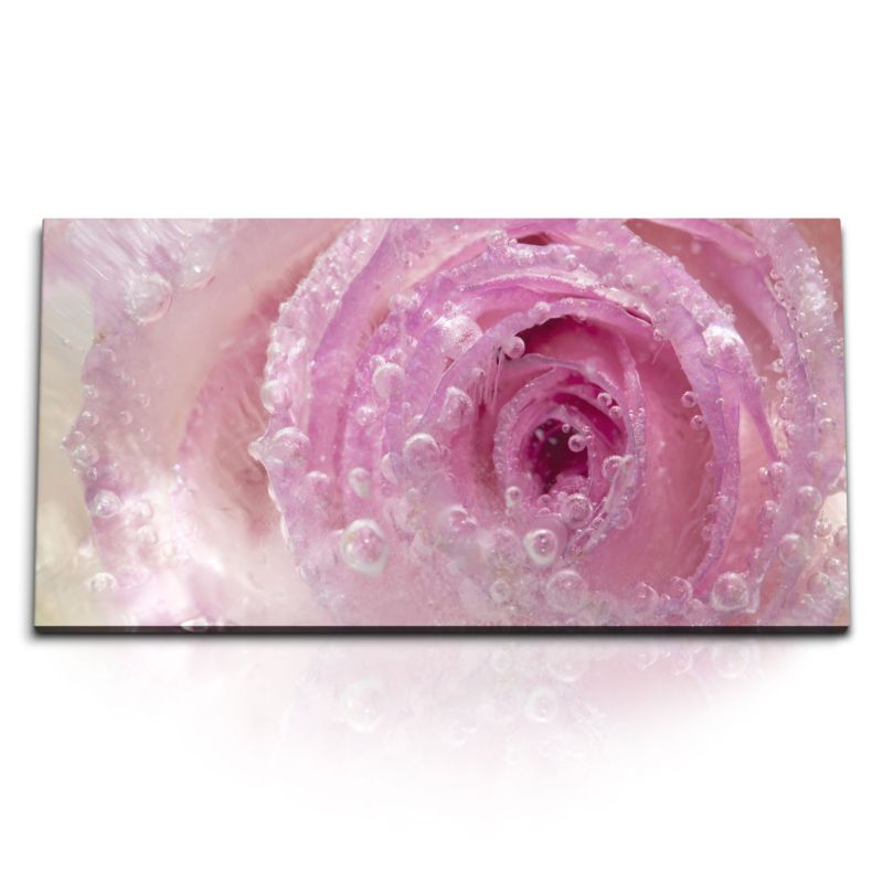 Kunstdruck Bilder 120x60cm Blüte Blume Rosa Wassertropfen Makrofotografie Kunstvoll