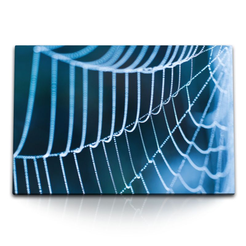 120x80cm Wandbild auf Leinwand Spinnennetz Makrofotografie Fotokunst Kunstvoll Blau