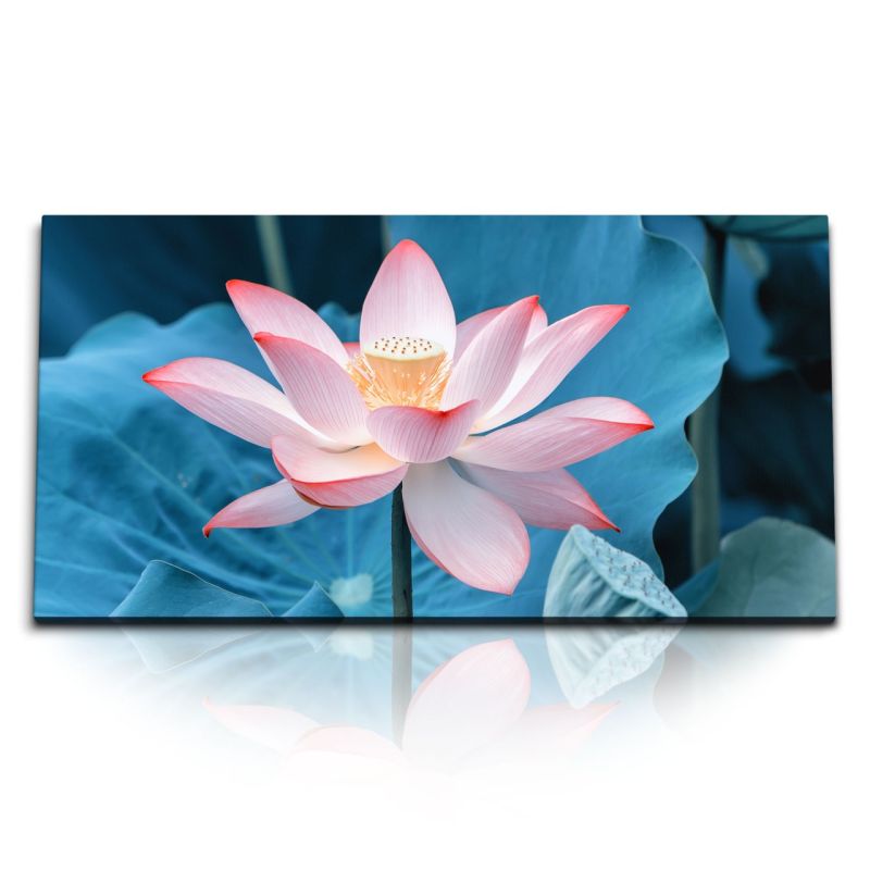 Kunstdruck Bilder 120x60cm Lotus Lotusblüte Blume Rosa Wasserblume