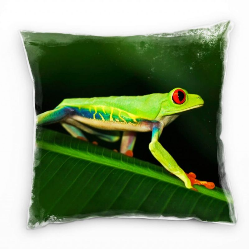 Tiere, Frosch, grün, orange, blau Deko Kissen 40x40cm für Couch Sofa Lounge Zierkissen