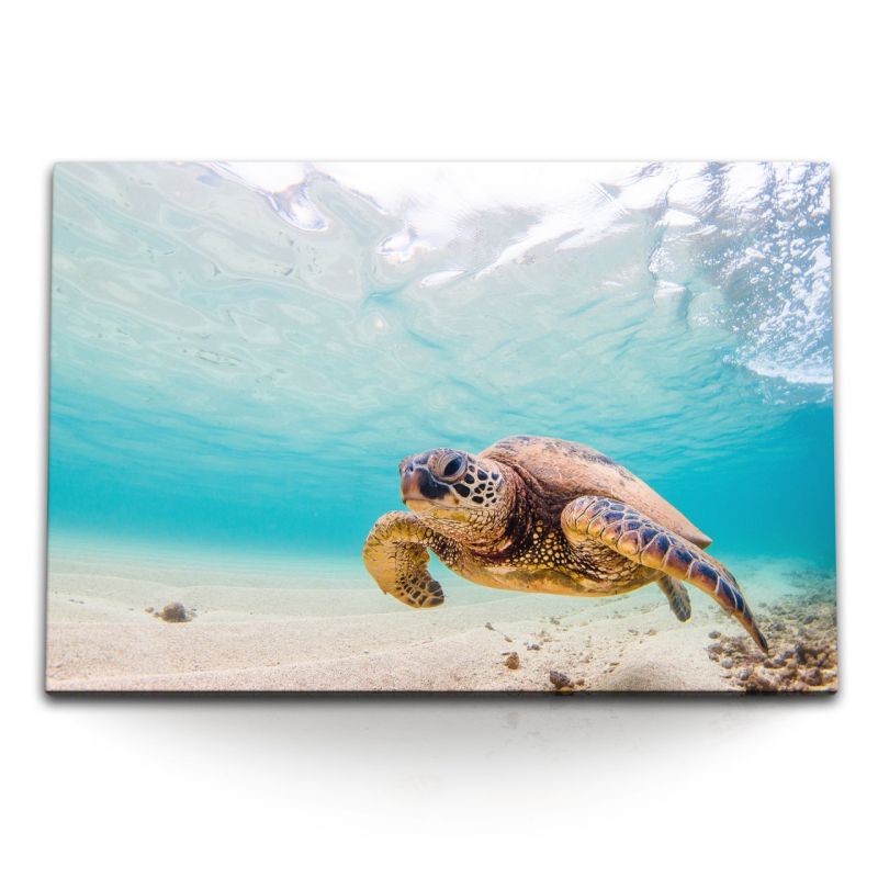 120x80cm Wandbild auf Leinwand Seeschildkröte unter Wasser Wasserschildkröte Hellblau