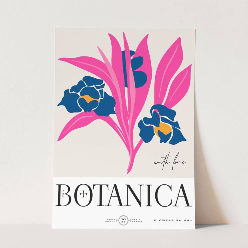 Botanica Wunderschöne Blumen Illustration Dekorativ Modern Farbenfroh