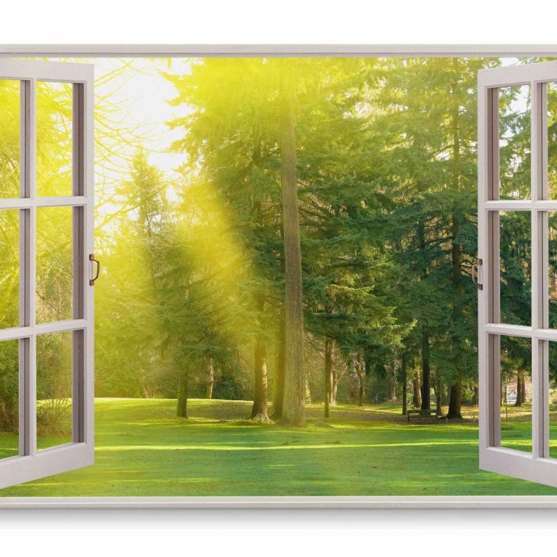 Wandbild 120x80cm Fensterbild Grüner Park Bäume Wiese Sonnenstrahlen Sonnenschein