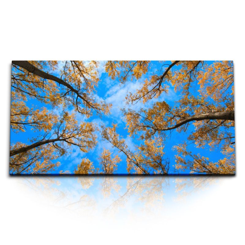 Kunstdruck Bilder 120x60cm Baumkronen blauer Himmel Herbstblätter Natur