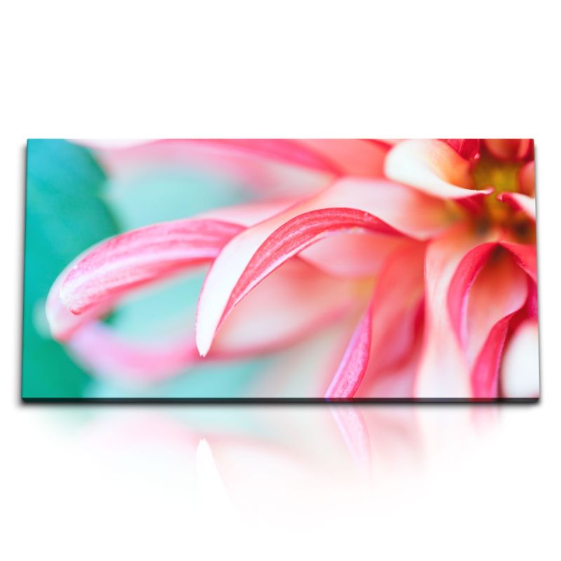 Kunstdruck Bilder 120x60cm Blume Blüte Rosa Rot Makrofotografie Kunstvoll