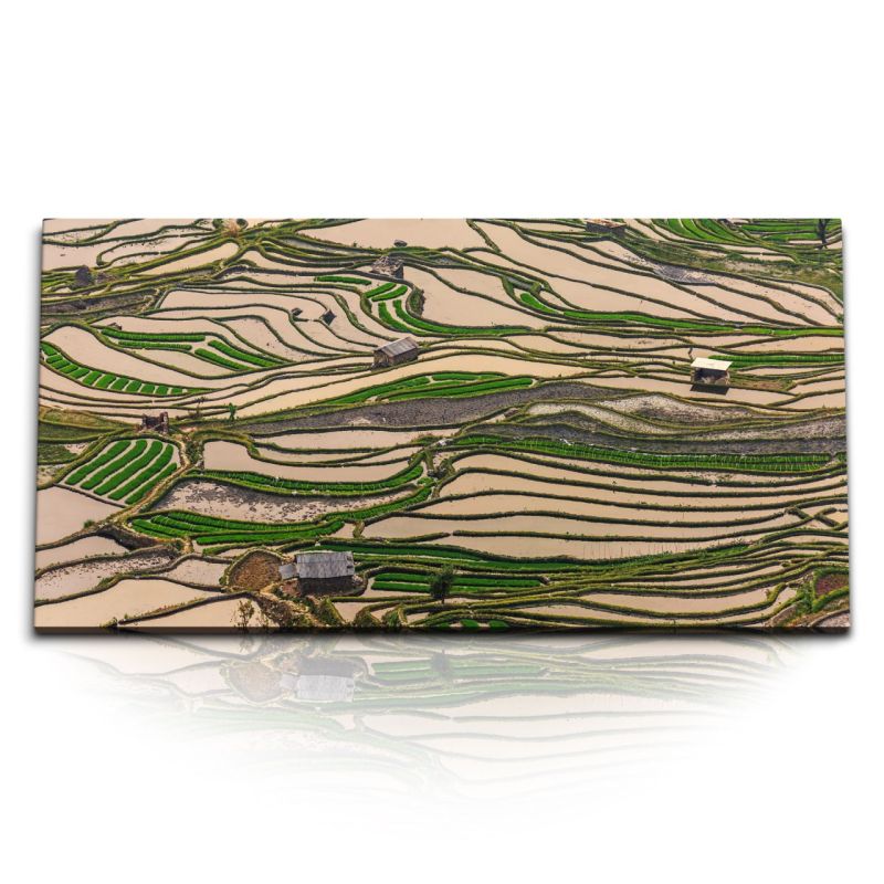 Kunstdruck Bilder 120x60cm Reisfelder Vietnam Asien Grün Reisanbau Natur