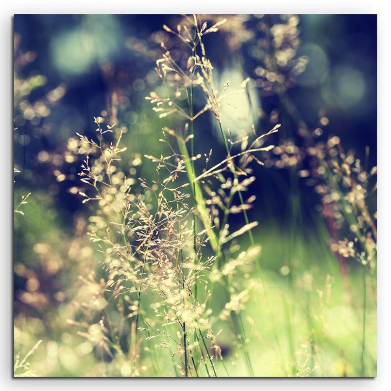 Naturfotografie –  Waldwiese mit Wildgras auf Leinwand