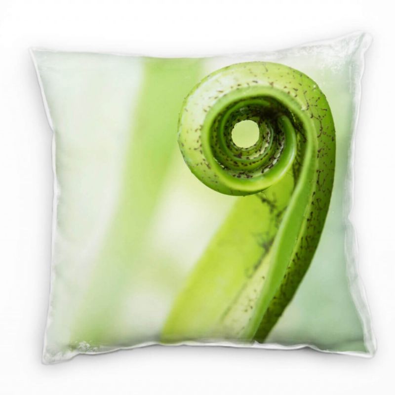 Macro, Natur, eingerolltes Blatt, grün Deko Kissen 40x40cm für Couch Sofa Lounge Zierkissen