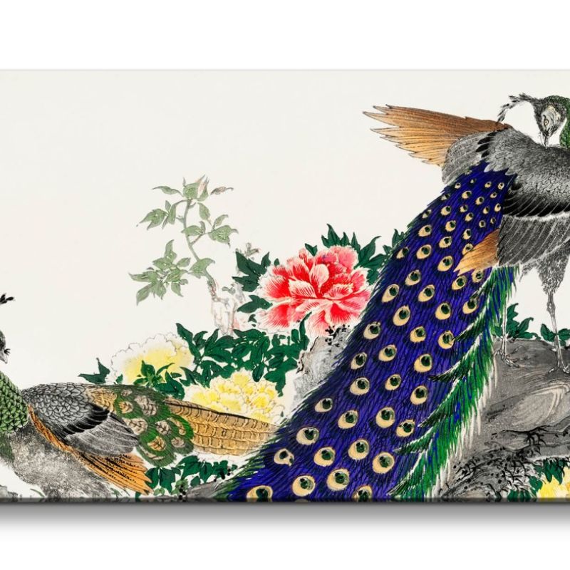 Remaster 120x60cm Wunderschöne traditionell japanische Kunst Zeitlos Pfau Federkleid Prachtvoll