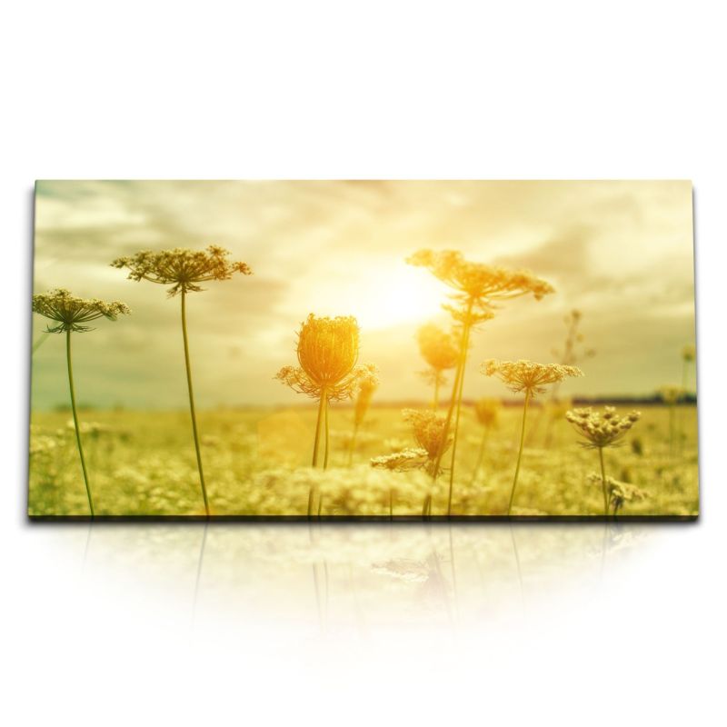 Kunstdruck Bilder 120x60cm Sommer Sonne Sonnenschein Blumen Felder Gewächs