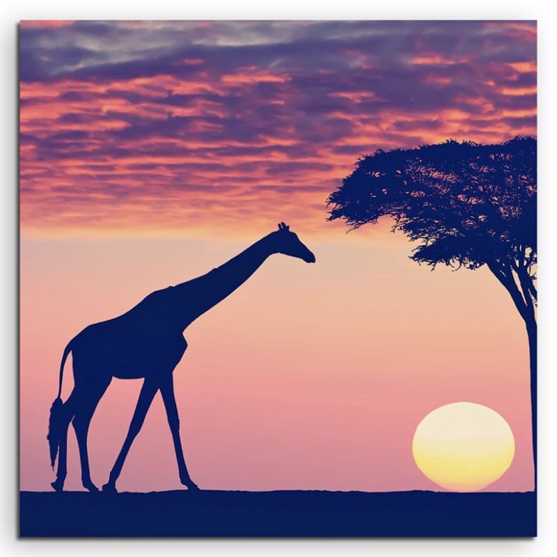 Landschaftsfotografie – Silhouette mit Giraffe und Akazie auf Leinwand