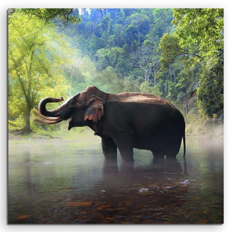 Tierfotografie – Elefant, Kanchanaburi Provinz, Thailand auf Leinwand