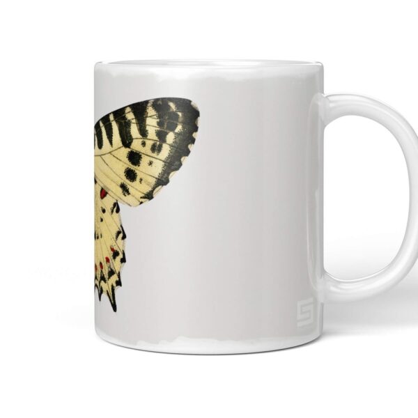 Insects Cup 086sMKoPQpbR1gW0 1280x1280