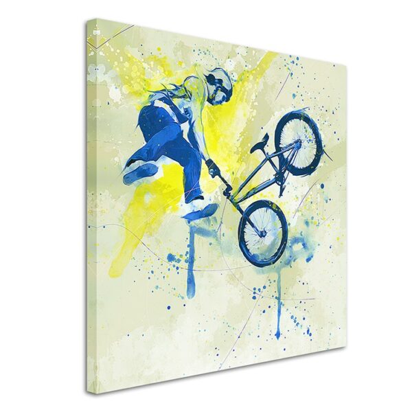 full BMX I 60x60cm 3d 1280x1280