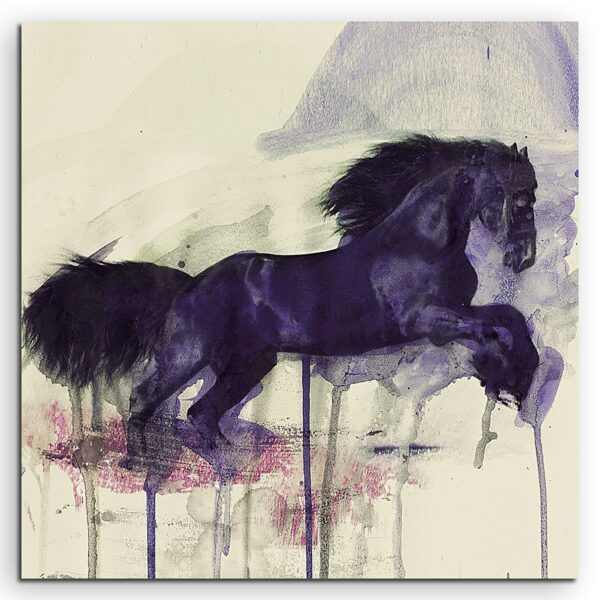 full Black Horse 60x60cm FRONT 1280x1280