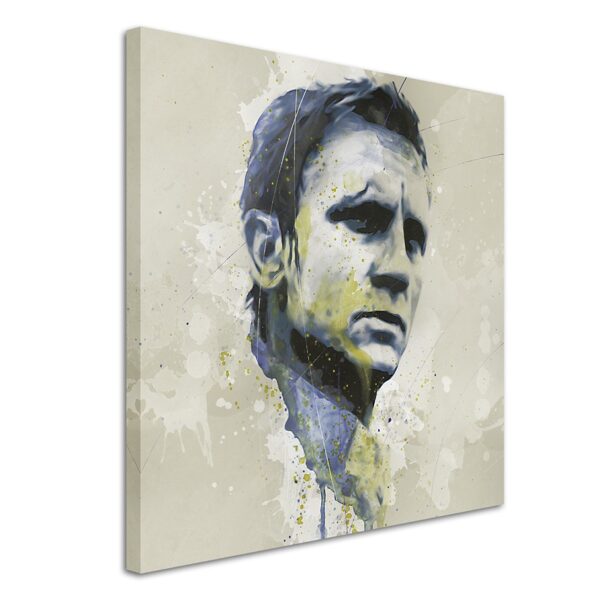 full Daniel Craig Bond Splash 60x60cm 3d 1280x1280