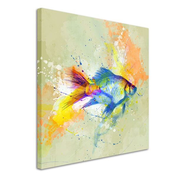 full Fisch 60x60cm 3d 1280x1280