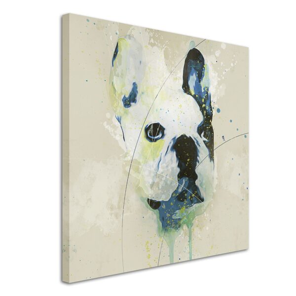 full French Bulldog Aqua 60x60cm 3d 1280x1280