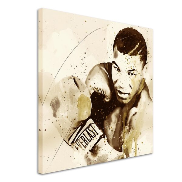 full Mike Tyson Splash 60x60cm 3d 1280x1280