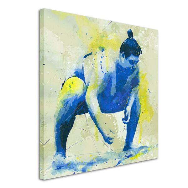 full Sumo Ringer 60x60cm 3d 1280x1280